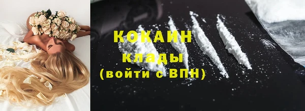 2c-b Дмитриев