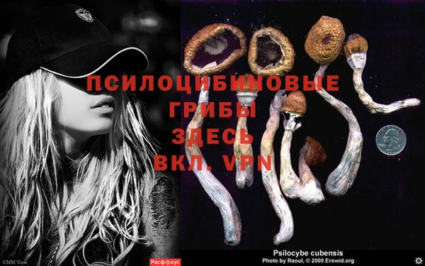 2c-b Дмитриев