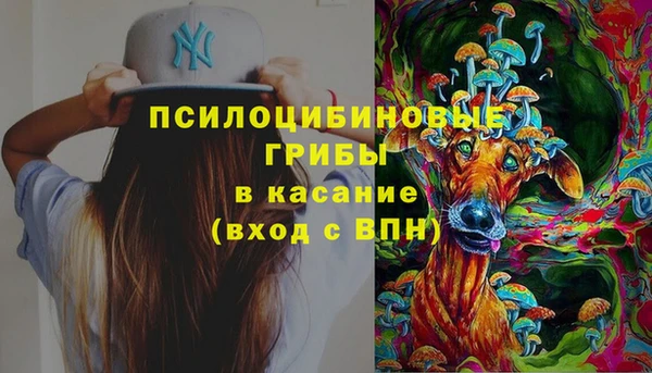 стафф Дмитров