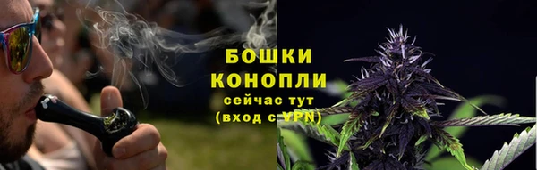 spice Дмитровск