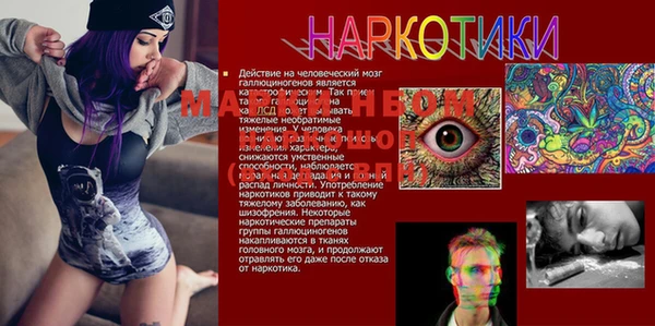 стафф Дмитров