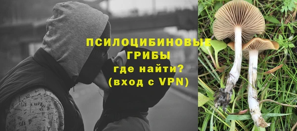 соль ск Гусев